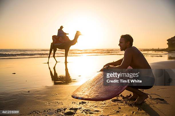surfer and camel on beach, taghazout, morocco - agadir stock pictures, royalty-free photos & images
