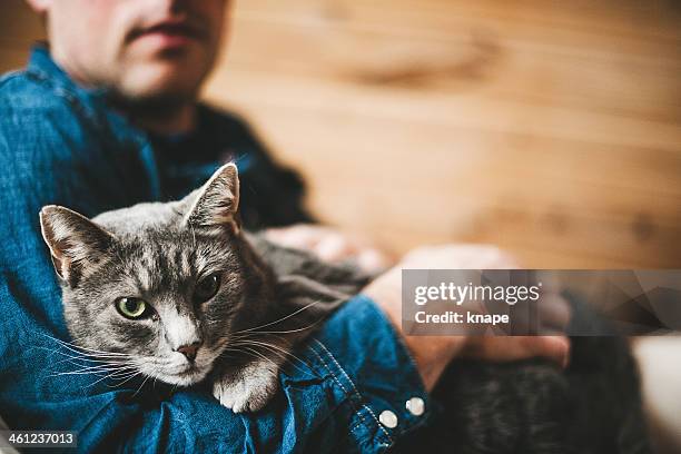 uomo e il suo gatto grigio - hugging animals foto e immagini stock