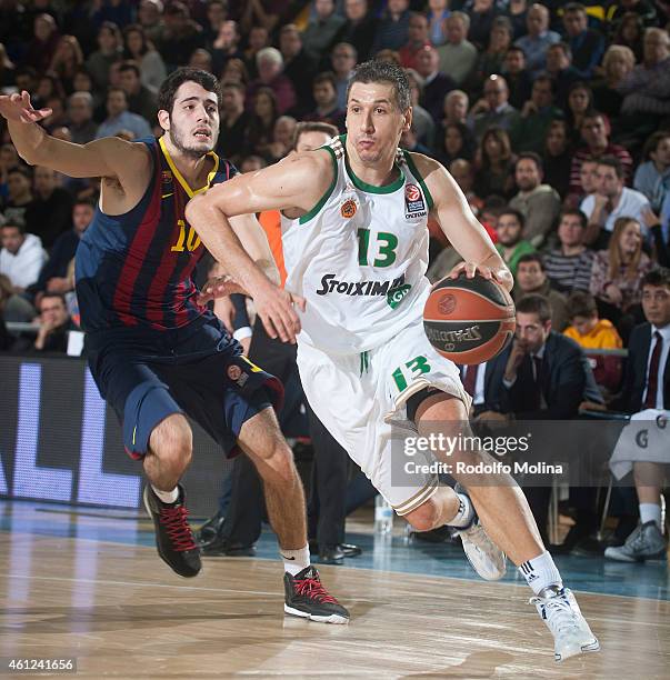 Dimitris Diamantidis, #13 of Panathinaikos Athens in action during the Euroleague Basketball Top 16 Date 2 game between FC Barcelona v Panathinaikos...