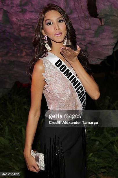 Miss Dominican Republic Kimberly Castillo attends Miss Universe Welcome Event and Reception at Downtown Doral Park on January 9, 2015 in Doral,...