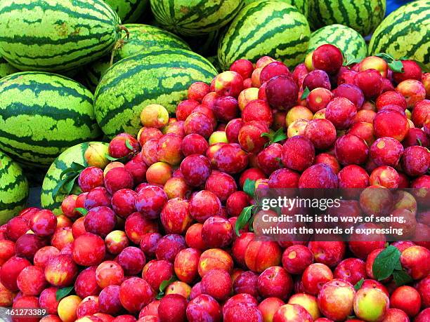 Fruits High-Res Stock Photo