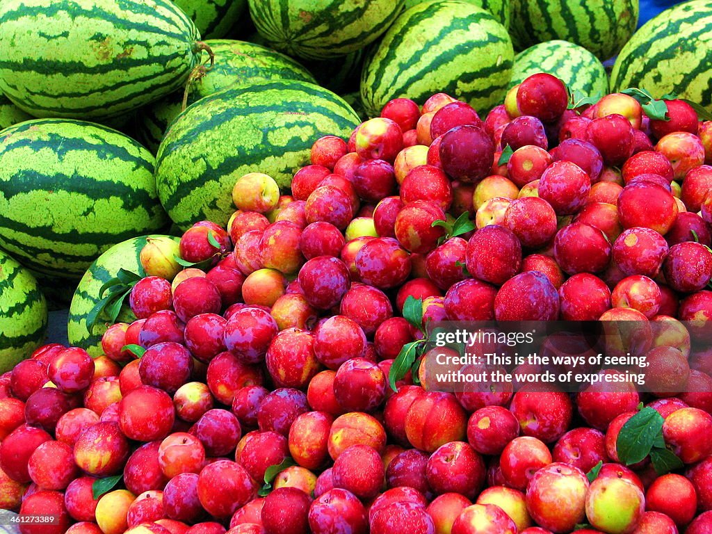 Fruits