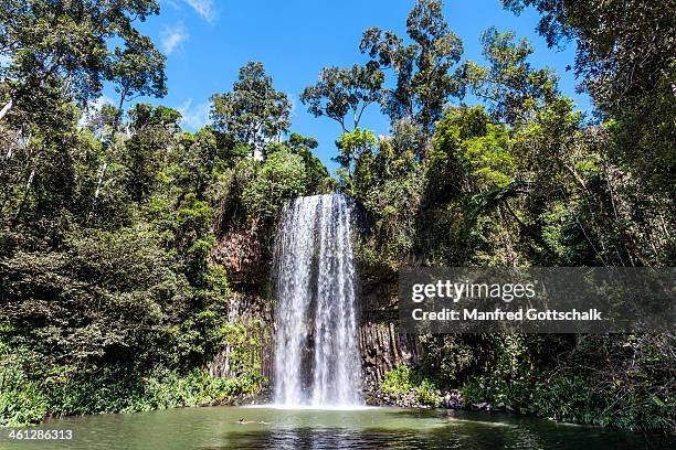 milla milla falls - millaa millaa waterfall stock pictures, royalty-free photos & images