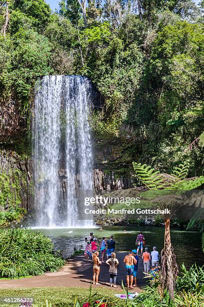 milla milla falls - millaa millaa waterfall stock pictures, royalty-free photos & images