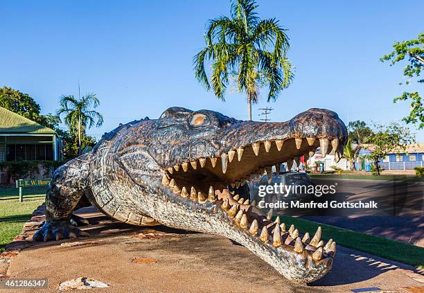 Krys The Savannah King High-Res Stock Photo - Getty Images