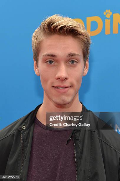 Actor Austin North arrives on the red carpet for the premiere of TWC-Dimension's "Paddington" at TCL Chinese Theatre IMAX on January 10, 2015 in...