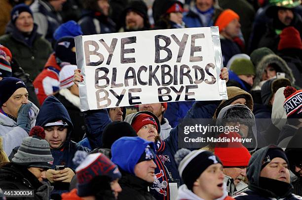 Fan holds a sign during the 2015 AFC Divisional Playoffs game between the Baltimore Ravens and the New England Patriots at Gillette Stadium on...