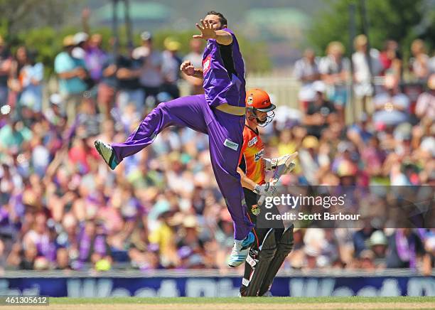 Tim Bresnan of the Hurricanes celebrates after dismissing Michael Klinger of the Scorchers during the Big Bash League match between the Hobart...