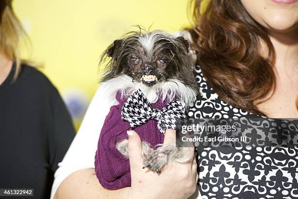 The Worlds Ugliest Dog Peanut attends "The World Dog Awards" at Barker Hangar on January 10, 2015 in Santa Monica, California.