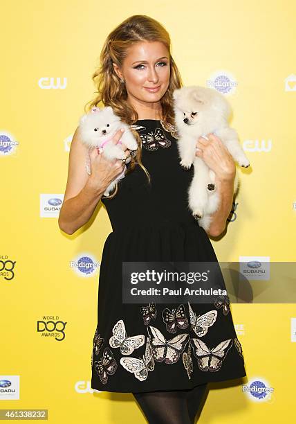 Personality Paris Hilton attends The World Dog Awards at Barker Hangar on January 10, 2015 in Santa Monica, California.