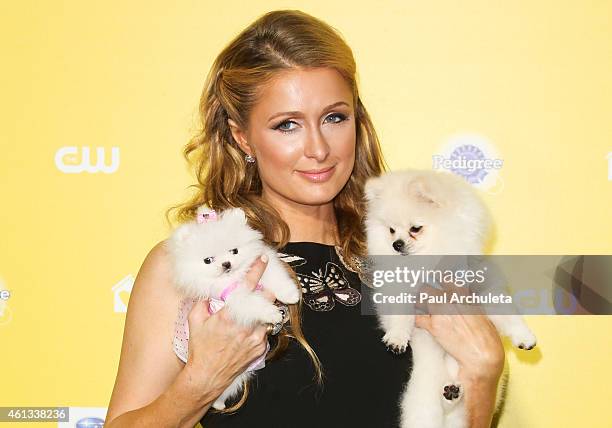 Personality Paris Hilton attends The World Dog Awards at Barker Hangar on January 10, 2015 in Santa Monica, California.