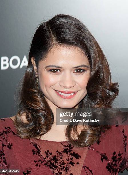 Melonie Diaz attends the 2014 National Board Of Review Awards gala at Cipriani 42nd Street on January 7, 2014 in New York City.