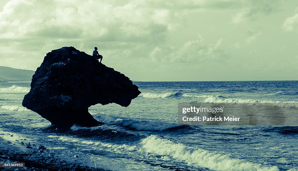 Fisher on Rock - Bathsheba Barbados
