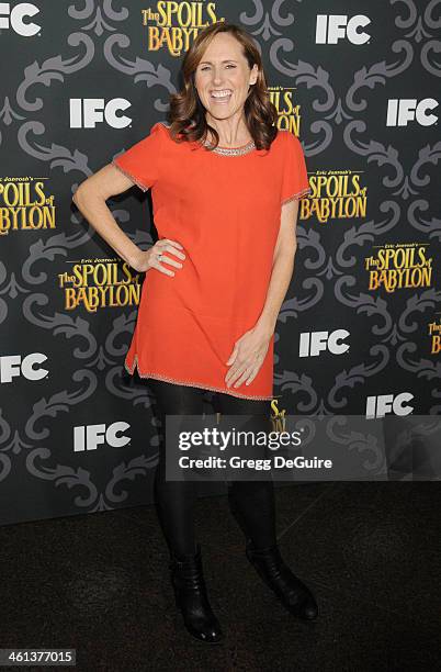 Actress Molly Shannon arrives at the Los Angeles premiere of "The Spoils Of Babylon" at DGA Theater on January 7, 2014 in Los Angeles, California.