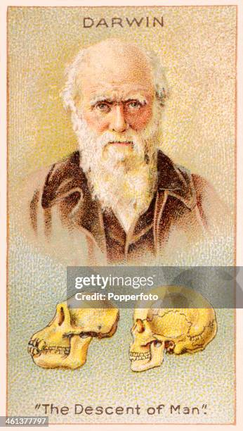 Men of Genius" Shelley cigarette card featuring illustrations of the English naturalist Charles Darwin and skulls representing his seminal work, "The...