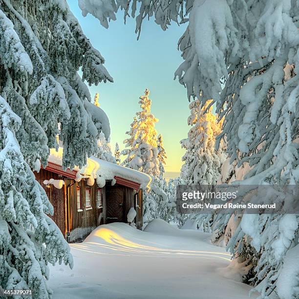arriving at the cabin in the winter - cabin stockfoto's en -beelden