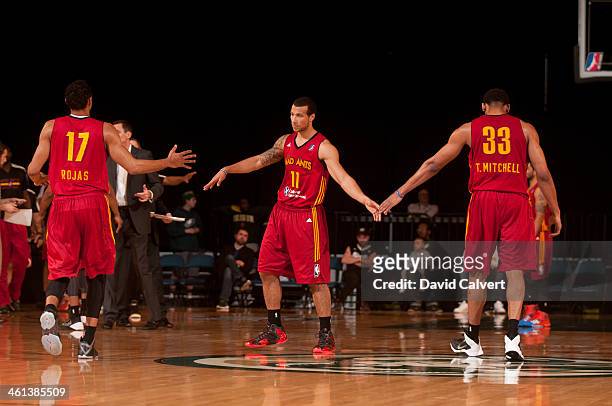 Sadiel Rojas and Tony Mitchell greet teammate Trey McKinney Jones of the Fort Wayne Mad Ants during a timeout against the Texas Legends during a make...