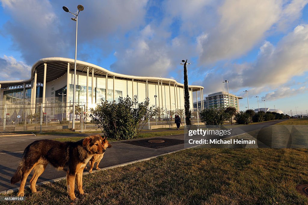 Views Of Sochi Ahead Olympic Games