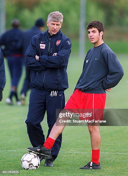 Arsenal manager Arsene Wenger talks with Cesc Fabregas during a training session on November 4, 2003 in London, England.