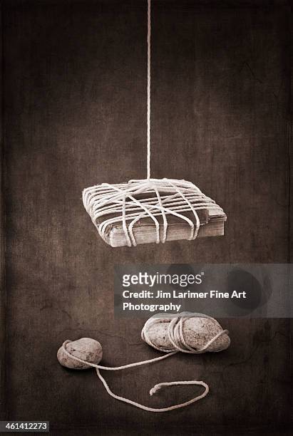 a bound dickens over tied rocks - rocky parker stock pictures, royalty-free photos & images
