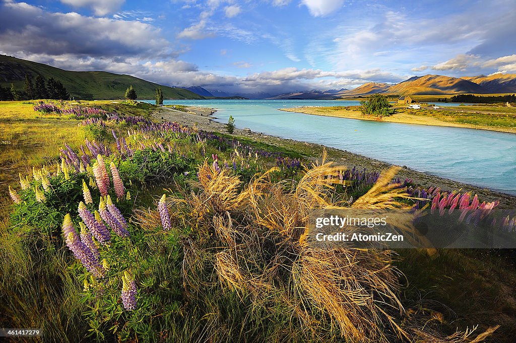 Lake Tekapo