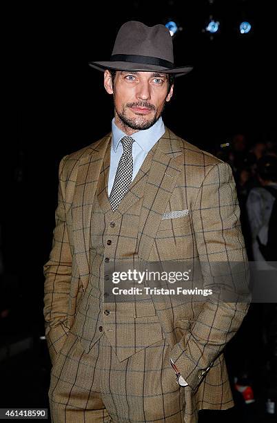 David Gandy attends the E.Tautz show at the London Collections: Men AW15 at on January 12, 2015 in London, England.