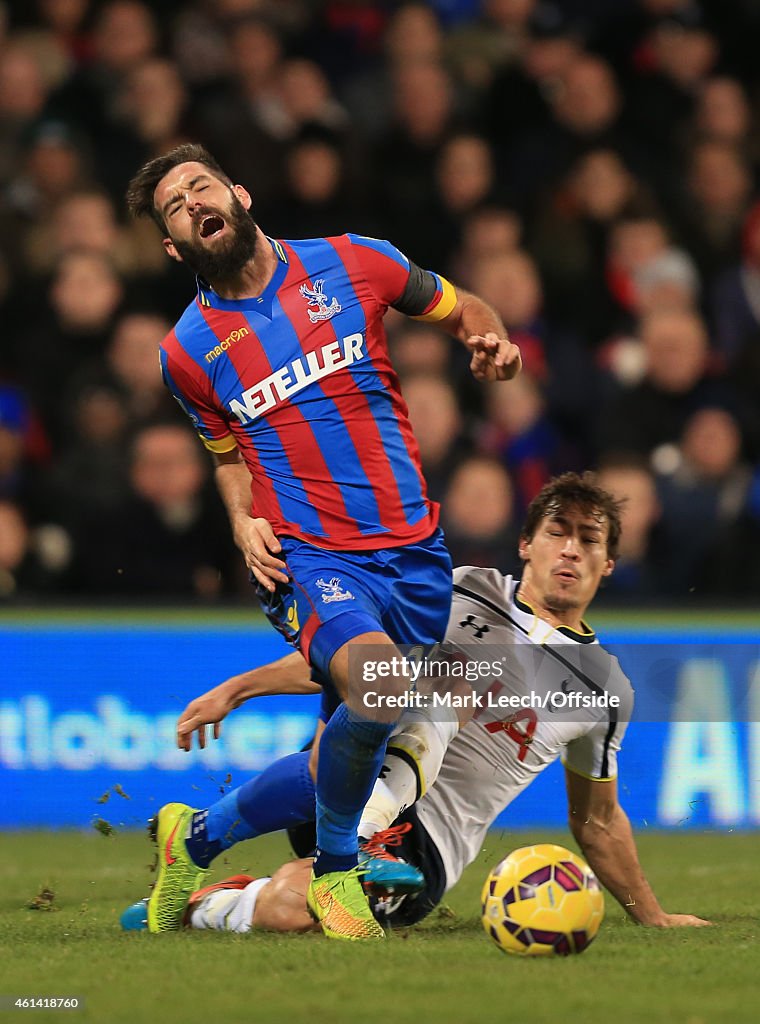 Crystal Palace v Tottenham Hotspur - Premier League