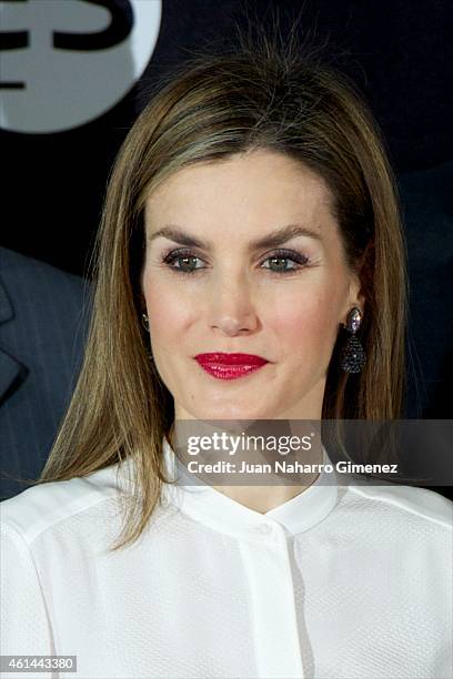 Queen Letizia of Spain attends 'Telefonica Ability Awards 2015' at Telefonica Sede on January 12, 2015 in Madrid, Spain.