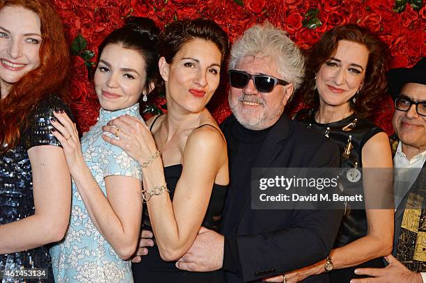 Willemijn Verkaik, Seline Hizli, Tamsin Greig, Pedro Almodovar, Haydn Gwynne and David Yazbek attend an after party following the press night...