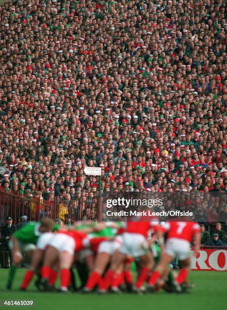 February 1994 5 Nations Rugby at Lansdowne Road Ireland v Wales, Fans watch from the packed terraces.