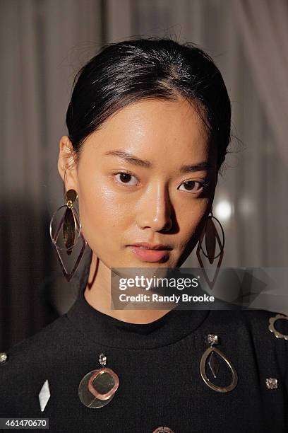 Model poses wearing the Stella McCartney Autumn 2015 Presentation on January 12, 2015 in New York City.