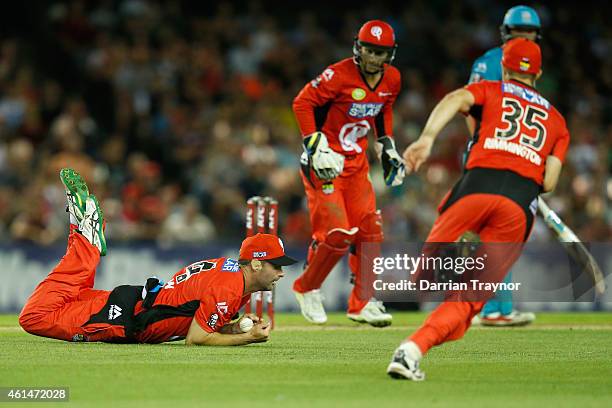 Alex Doolan of the Melbourne Renegades takes a catch to dimiss Peter Forrest of the Brisbane Heat during the BIg Bash League match between the...