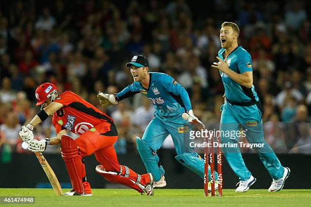 James Peirson and Andrew Flintoff of the Brisbane Heat celebrate as Callum Ferguson of the Melbourne Renegades is bowled by Stephen Parry during the...