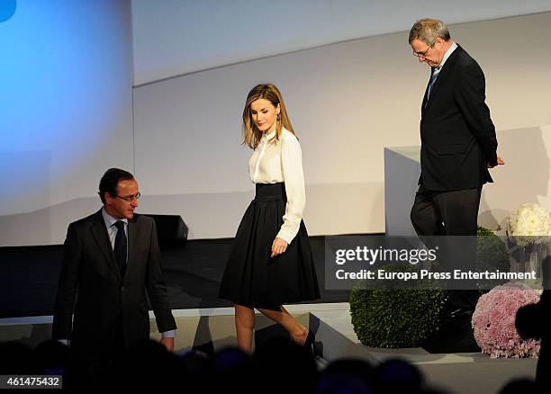 Alfonso Alonso, Queen Letizia of Spain and Cesar Alierta attend 'Telefonica Ability Awards 2015' at Telefonica heaquarters on January 12, 2015 in...