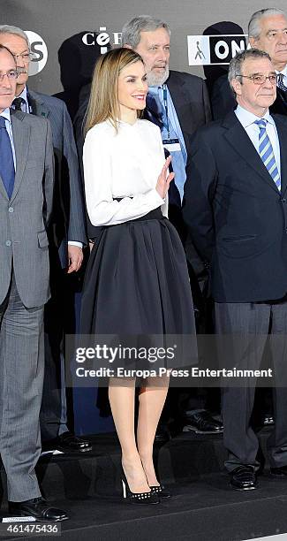 Queen Letizia of Spain attends 'Telefonica Ability Awards 2015' at Telefonica heaquarters on January 12, 2015 in Madrid, Spain.