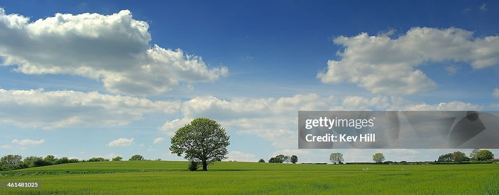 Spring colours