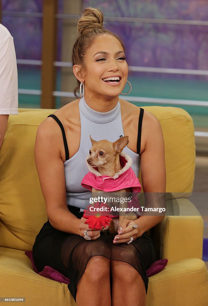 Celebrities On The Set Of Despierta America - January 13, 2015