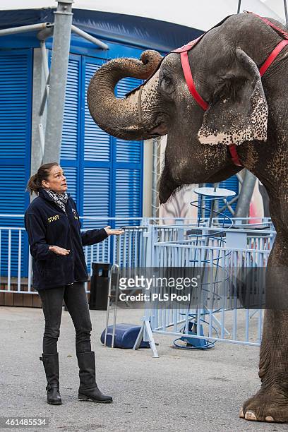 Princess Stephanie of Monaco poses with an elephant during a Press conference to launch the 39th International Circus Festival on January 13, 2015 in...