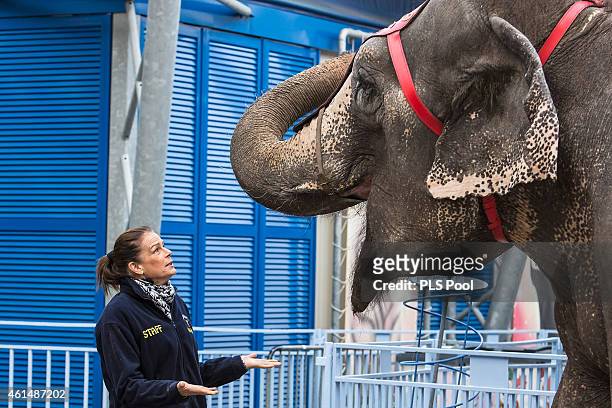 Princess Stephanie of Monaco poses with the elephant "Babe" during a Press conference to launch the 39th International Circus Festival on January 13,...