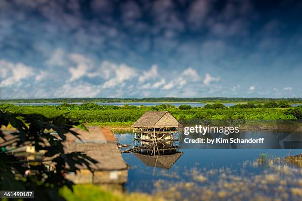 amazon hut - iquitos fotografías e imágenes de stock