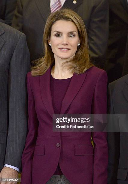 Princess Letizia of Spain attends an Audience with members of the Spanish Federation of Blood Donors at Zarzuela Palace on January 9, 2014 in Madrid,...