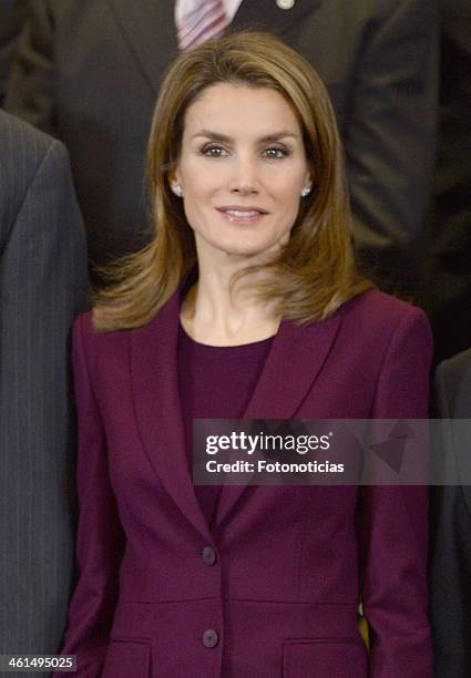 Princess Letizia of Spain attends an Audience with members of the Spanish Federation of Blood Donors at Zarzuela Palace on January 9, 2014 in Madrid,...