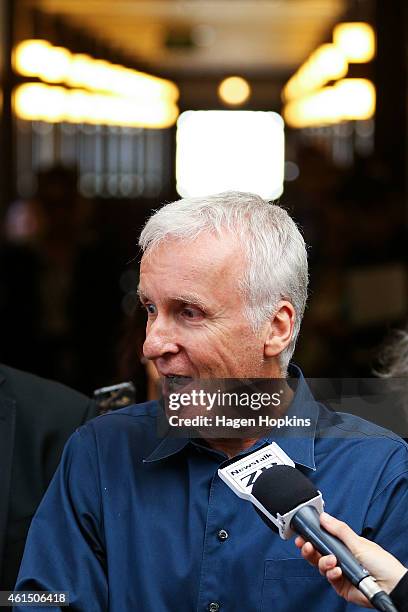 James Cameron speaks to media during the screen advisory board inaugural meeting at Park Road Post Production offices on January 14, 2015 in...