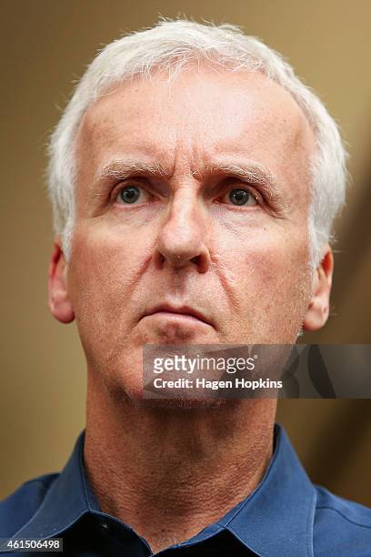James Cameron looks on while addressing media during the screen advisory board inaugural meeting at Park Road Post Production offices on January 14,...