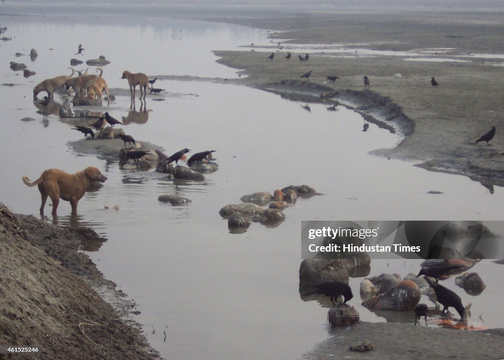 100 Bodies Recovered From Ganga River In Uttar Pradesh