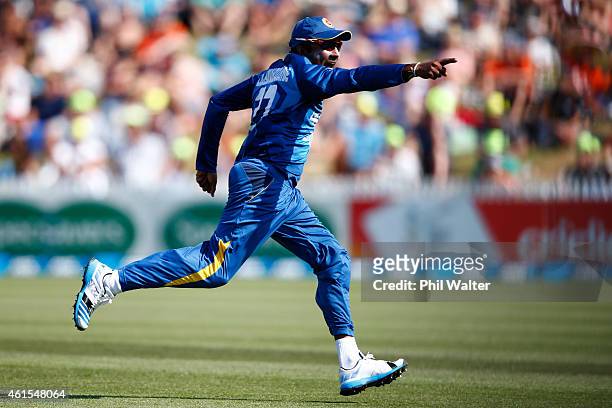 Mahela Jayawardene of Sri Lanka celebrates the run out of Nathan McCullum of New Zealand during the One Day International match between New Zealand...