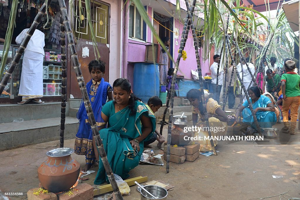 INDIA-RELIGION-FESTIVAL-PONGAL