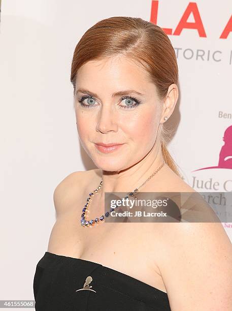 Amy Adams attends the LA Art Show 2015 Opening Night Premiere Party at the Los Angeles Convention Center on January 14, 2015 in Los Angeles,...