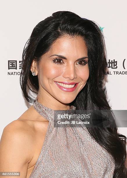 Joyce Giraud attends the LA Art Show 2015 Opening Night Premiere Party at the Los Angeles Convention Center on January 14, 2015 in Los Angeles,...