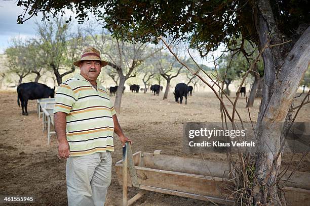 portrait of farm worker in front of angus cattle - trough - fotografias e filmes do acervo